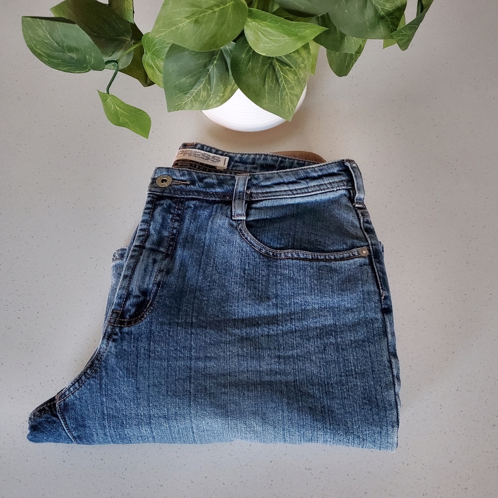 Express Fit and Flare Jeans